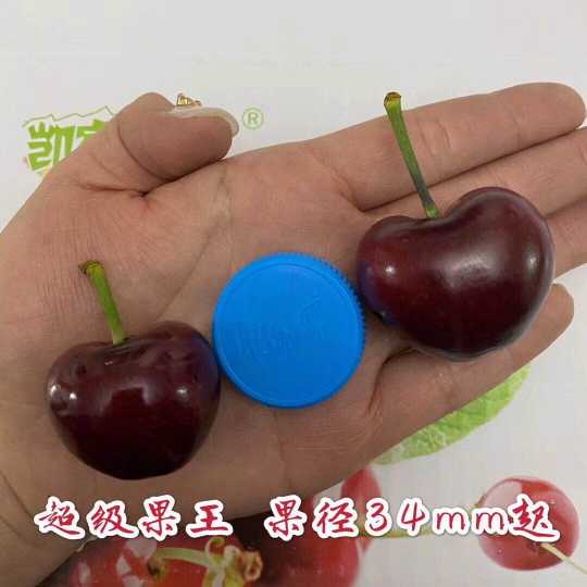 5D17039B-A1B6-48B0-B2F9-859F075A40EB.jpeg