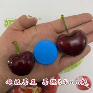 14C86E4C-382C-4B1B-9C29-F9127B35A427.jpeg