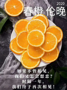 mmexport1586229727931.png