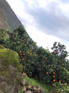 03D25929-F173-46B9-8B17-26EABDF536EC.jpeg
