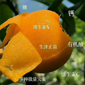 mmexport1587017162168.png