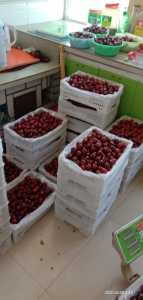 IMG_20200408_105129.jpg