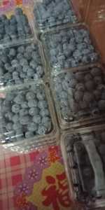 IMG20200415193956.jpg