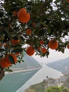 IMG_20200405_095659.jpg