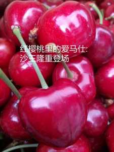 A65104E0-1124-433B-83ED-3F80BD5D639F.jpeg