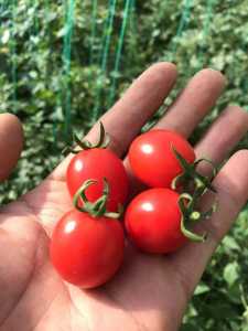 A3D49599-654F-4E54-98C8-8CF8CA09911B.jpeg