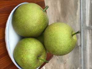 60009745-BC0E-4DB3-AC2B-AB10A4492589.jpeg