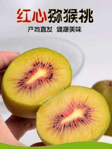 8C7D0389-4F53-4564-BF35-8D9977029FEA.jpeg
