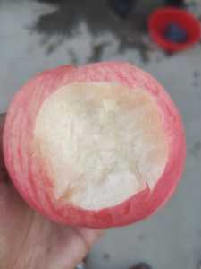 IMG_20200810_181544.jpg