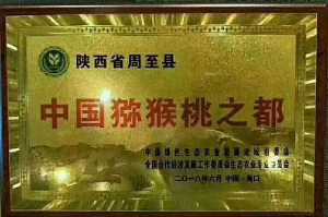 mmexport1594129290990.jpg