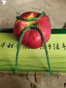 mmexport1598960648369.jpg