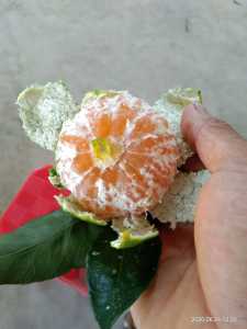 microMsg.tmp.1599309353246.jpg