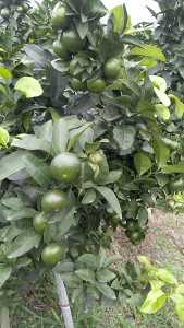 wx_camera_1599276647761.jpg