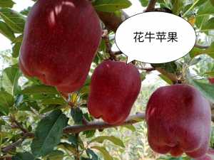 IMG_20200913_052109.jpg
