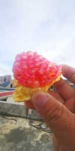 IMG_20200813_171718.jpg