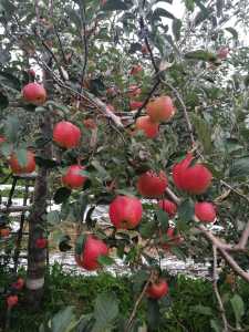 IMG_20191001_172256.jpg