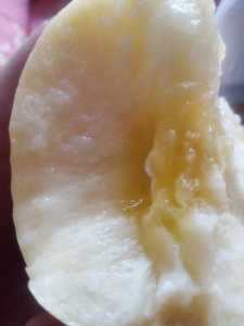 IMG_20201205_154355.jpg
