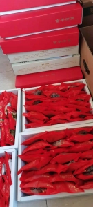 微信图片_20201225201202.jpg