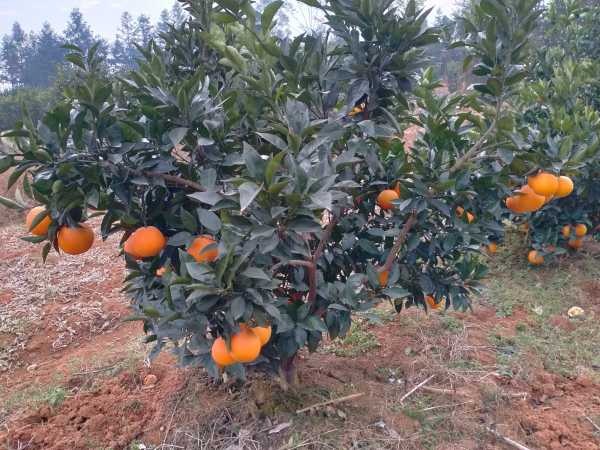 IMG20201222093621.jpg