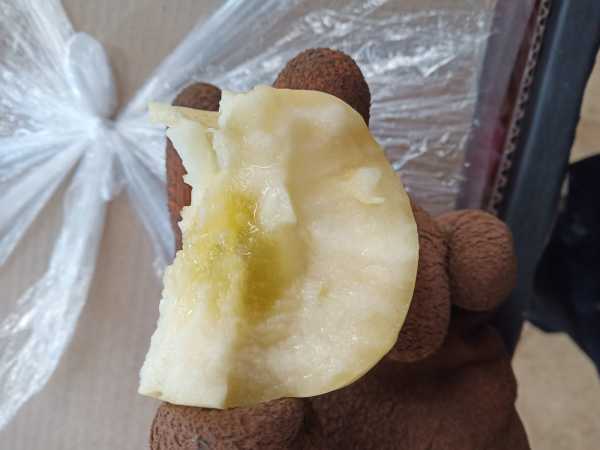 IMG_20201215_091818.jpg