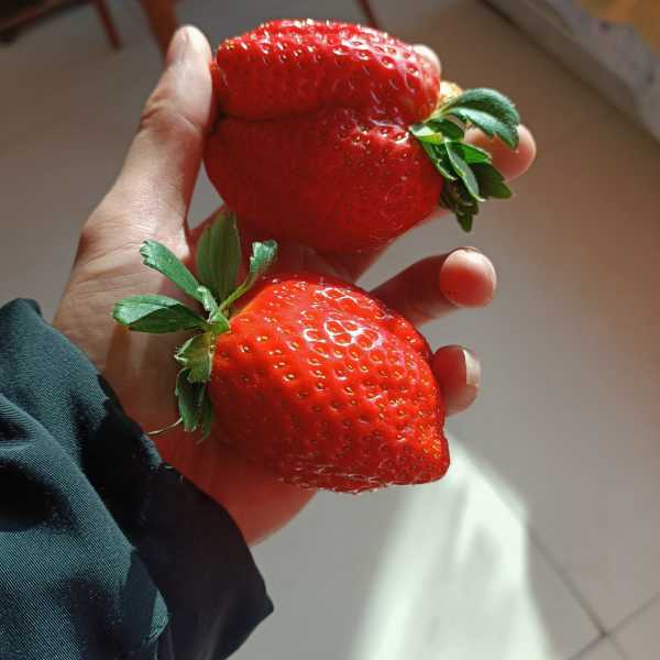 IMG20210121110120.jpg