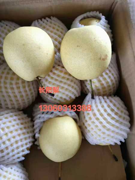 mmexport1612657908536.jpg