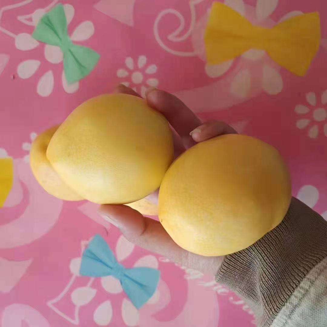 微信图片_20210521164235.jpg