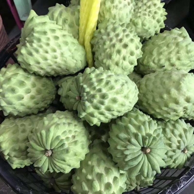 手淘网页版_主图_2.jpg