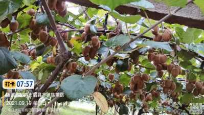 IMG_20210919_075830066.jpg