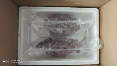 IMG_20200923_105047.jpg