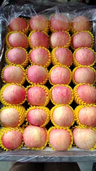 mmexport1740878013262.jpg
