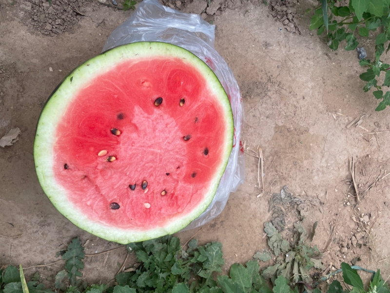 3A515D01-61C0-4E52-B4C6-51C329DB9175.jpeg