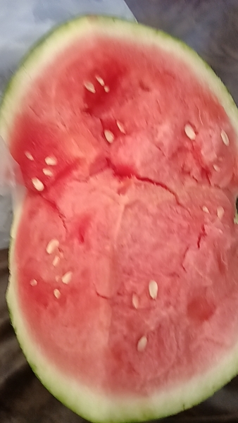 wx_camera_1745554087739.jpg